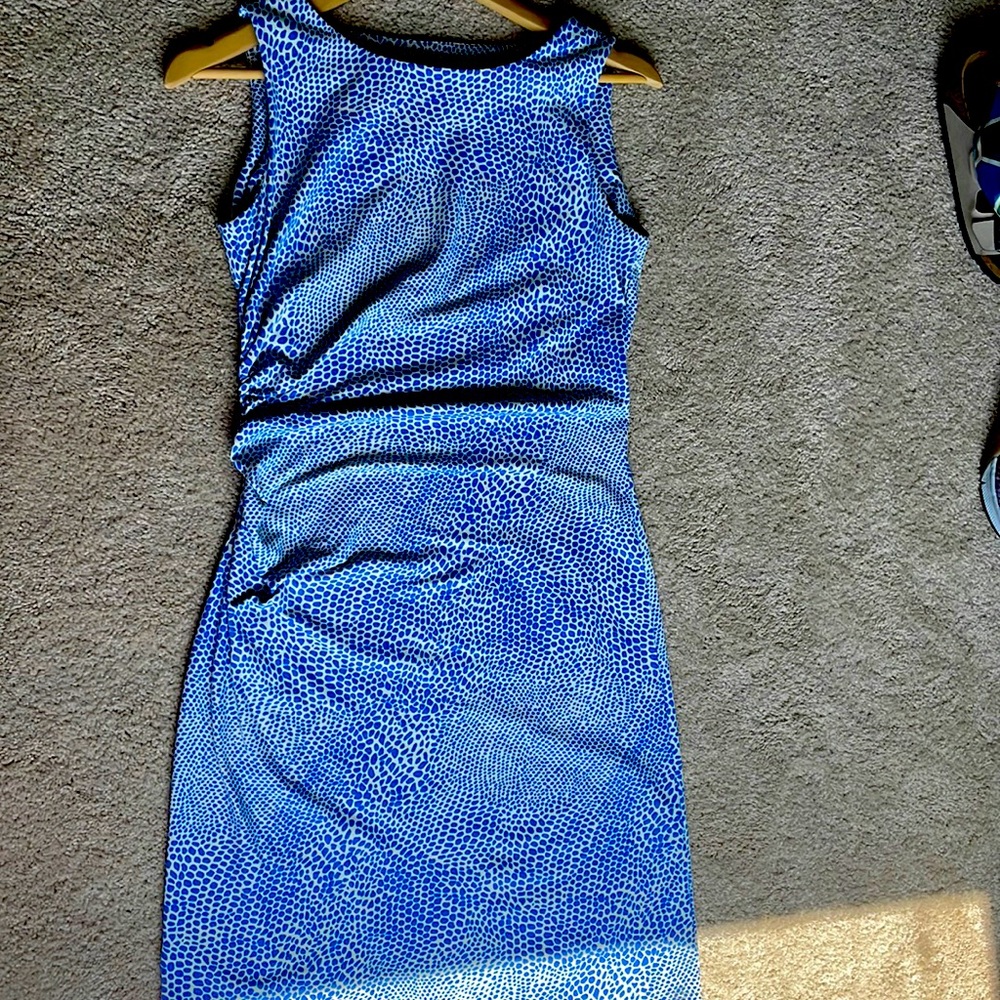 COPY - J. McLaughlin like New Dress.